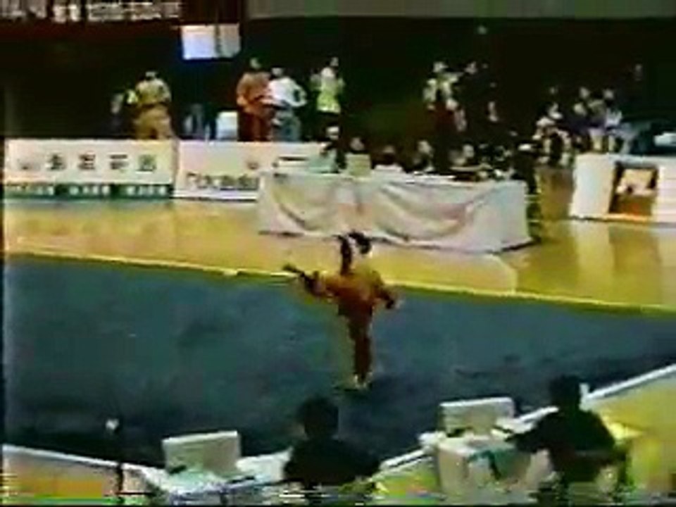 Liu Haibo Changquan 1996