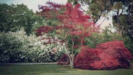 Annalisa   Sento solo il presente