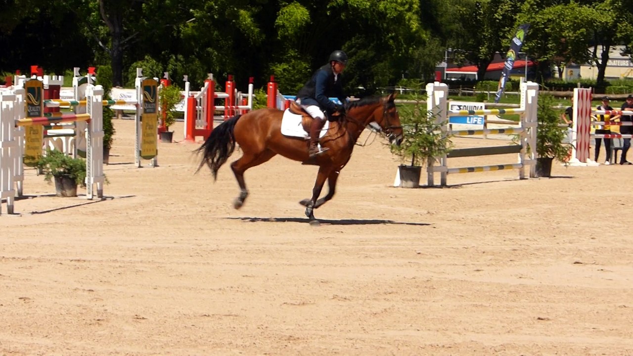 CSI* de Pau Gondola Van Het Lindehof et Eric Le Grel Grand Prix 140 4ème Place