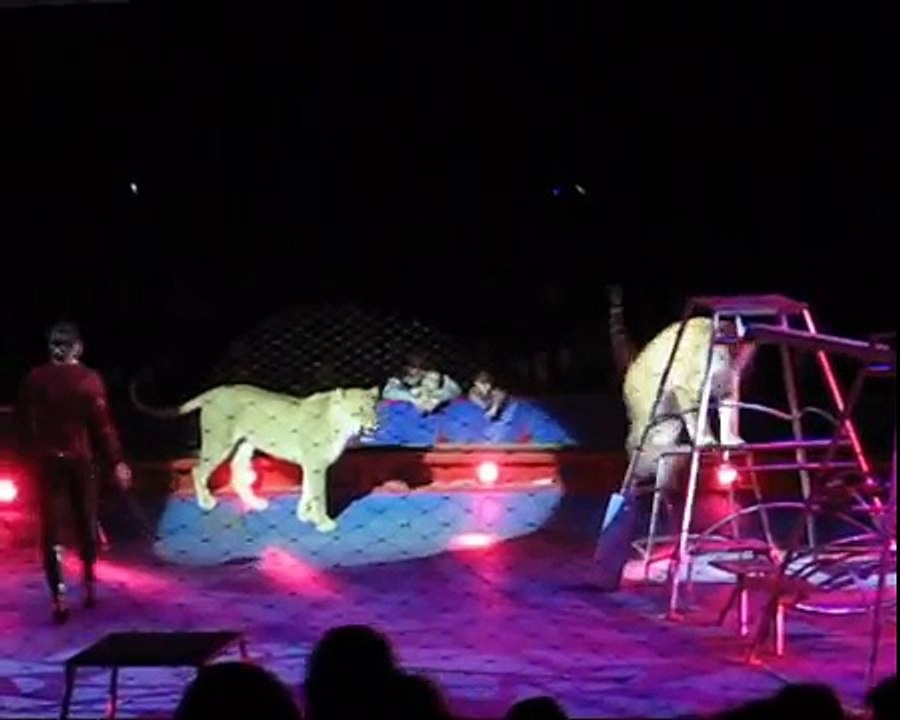 Circo Moira Orfei Torino 2009 2 parte