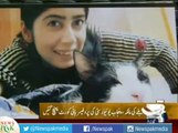 Punjab University Professor Moves Court to Put Doctor's Name on ECL Who Allegedly Killed Her CAT