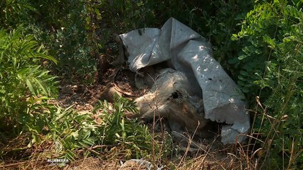 Šabački kanaldžija: Kazne za bacanje otpada