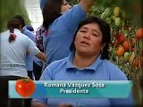 Invernaderos y Hortalizas Orgnicas.flv