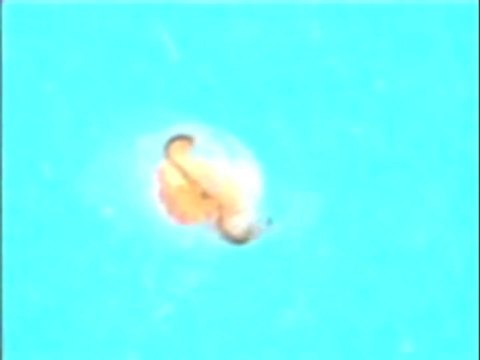 [Chercheurs d'eau] 1 - Tester la qualité des cours d'eau