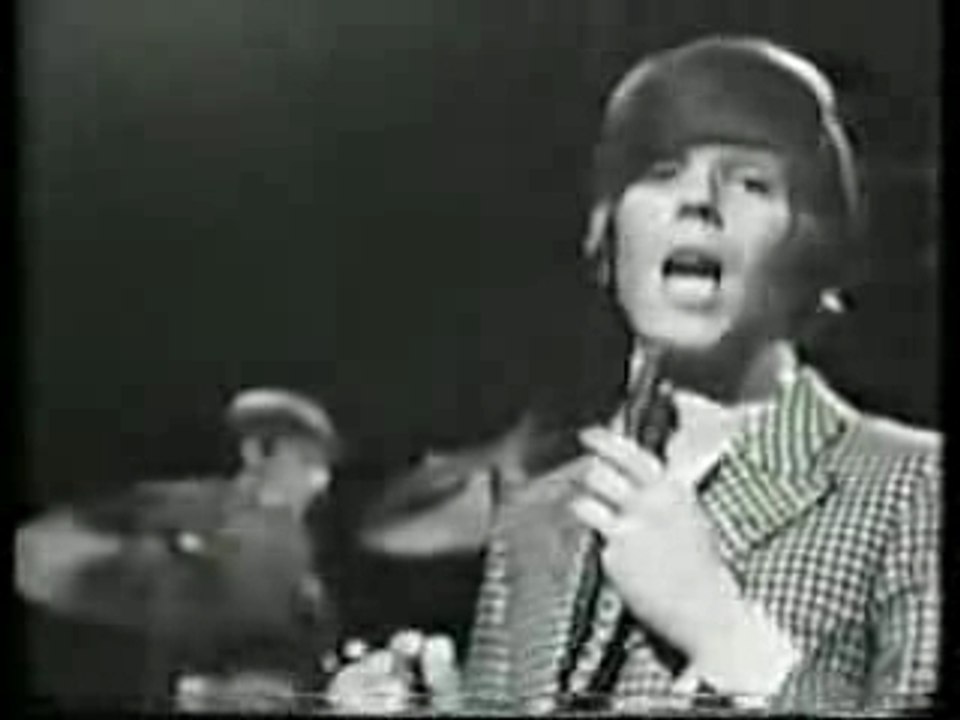 Hermans Hermits - Bus stop