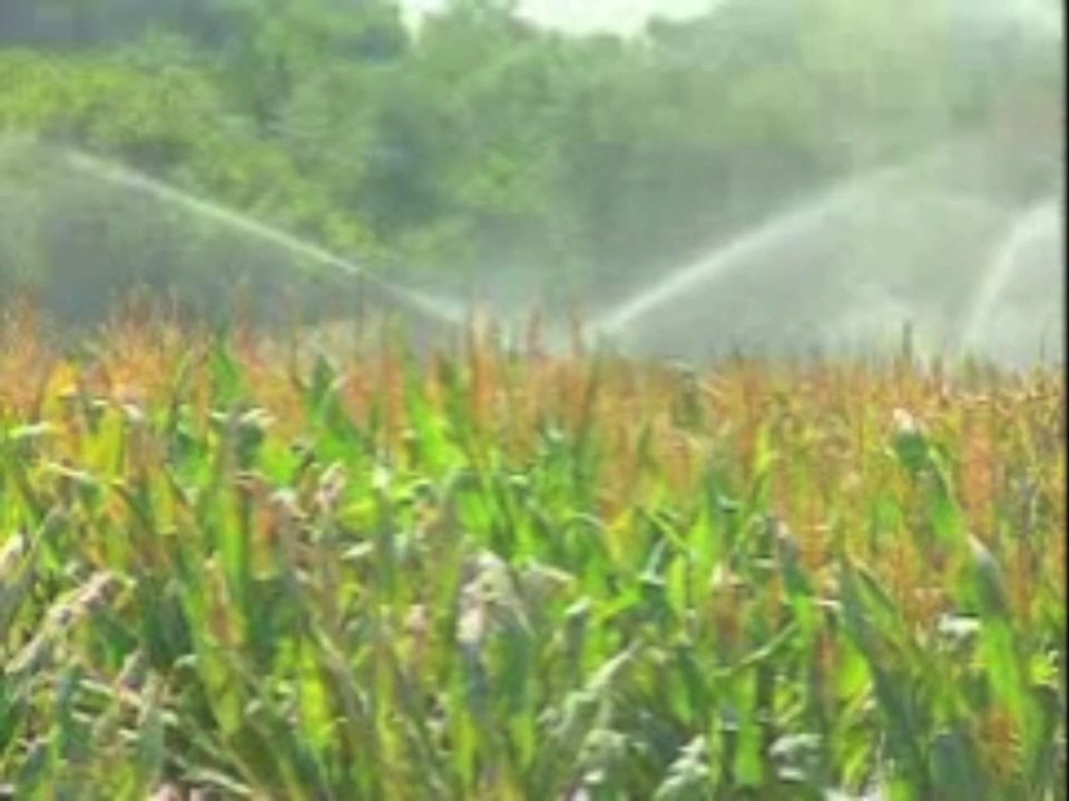 [Chercheurs d'eau] 6 - Gérer la demande en eau agricole