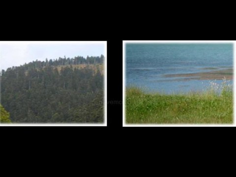 Location d'appartement maison à louer Gérardmer 88400 été Bon plan Mai Juin Juillet Août Septembre bon coin les Vosges