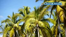 MEDERICE - Nout l'île (Île de la Réunion) : Nouveauté en diffusion sur Kanal Austral TV