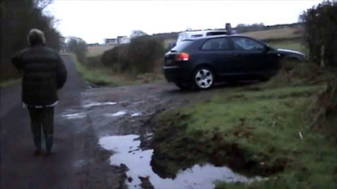 Giant flock of starlings - a wondrous sight
