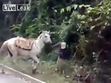 L'esilarante video dell'ubriaco che tenta di cavalcare un cavallo