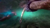 Poipo Beach Kauai Hawaii - Snorkeling near the reef with tropical fish