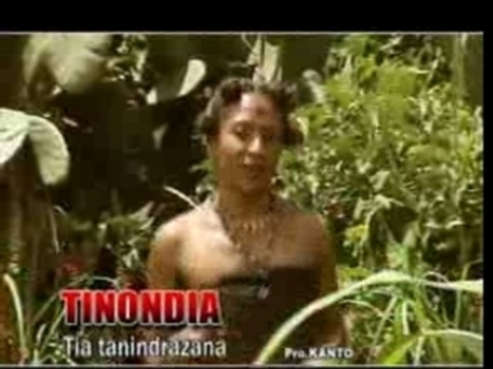 Tinondia (Tia tanindrazana)