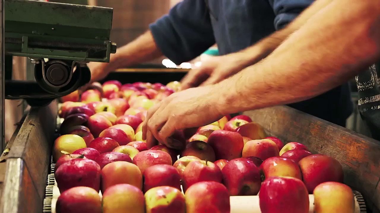 X-Fighters 2015 Josh Sheehan