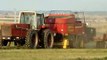 IH 3388 2+2 Baling Hay with a new holland BB960