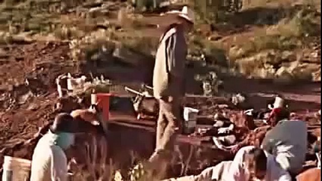 ARCTIC DINOSAURS NOVA Discovery Animals Nature documentary