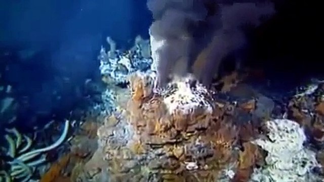 NOVA SCIENCE NOW EMERGENCE Discovery/Animals/Nature (documentary)