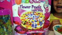 ORBEEZ FLOWER POWER LIGHT SHOW   Orbeez Playset Kids Review   Toys AndMe