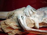 Guanajuato Mummies In Mexico. Horror You Cam Almost Touch