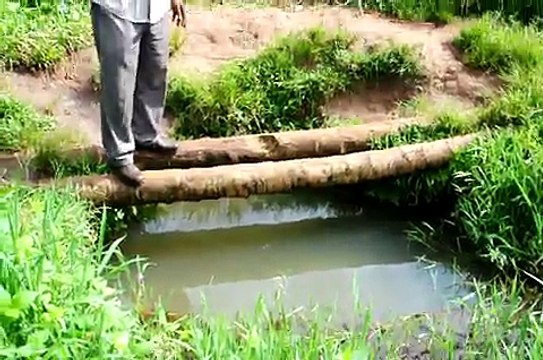 Ugandan Water Project - Typical Ugandan Water Hole - Kawanda, Uganda