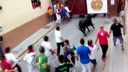 Bulls kill seven in Spain's summer festivals