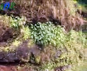 Pratapgad Fort, Mahabaleshwar, Maharashtra - Indian Historical Fort at Hill Station Video
