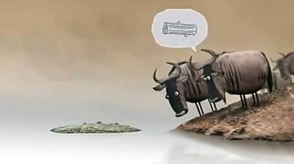 kanıtlamaya çalışan hayvanın sonu kötü oldu