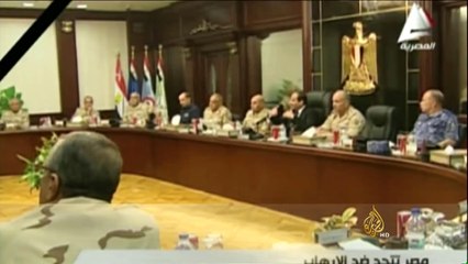 القانون الجديد الذي أقره السيسي يثير جدلا في مصر