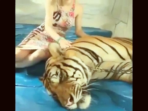 Nonstop DJ 2015 [DJ Soda] New Electro|AUGUST| New Thang House Music | REMIX Dance Korean | 2015 HD