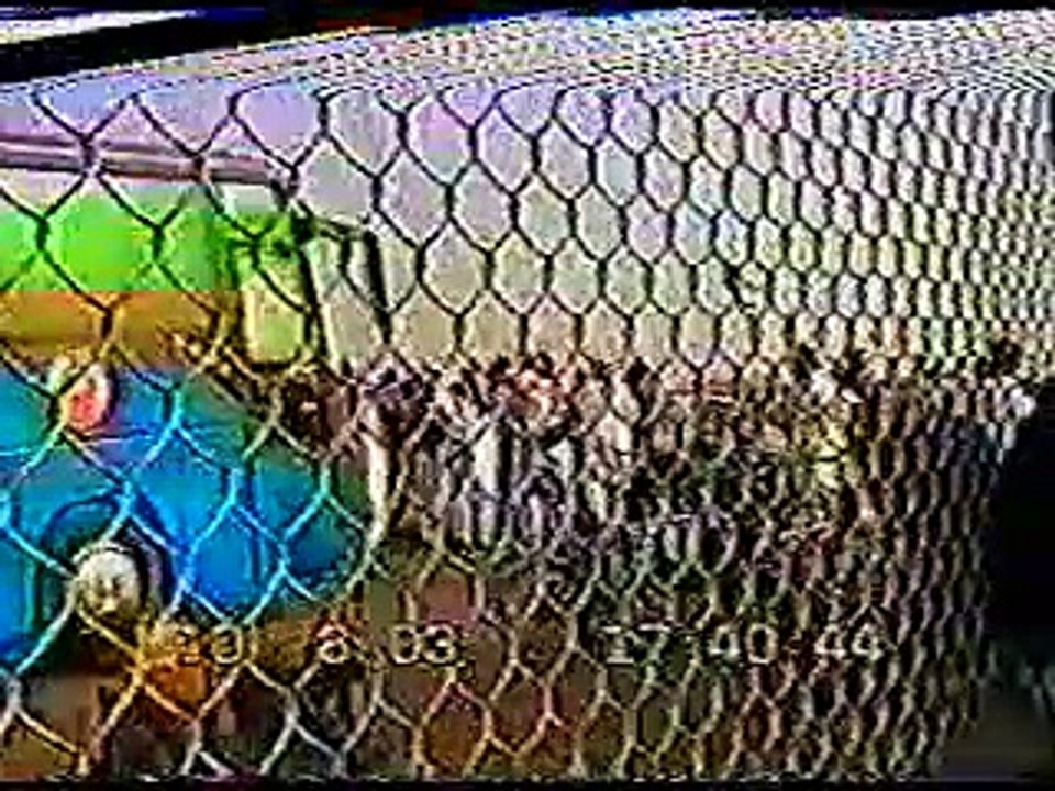 العراقين في مخيم رفحاء