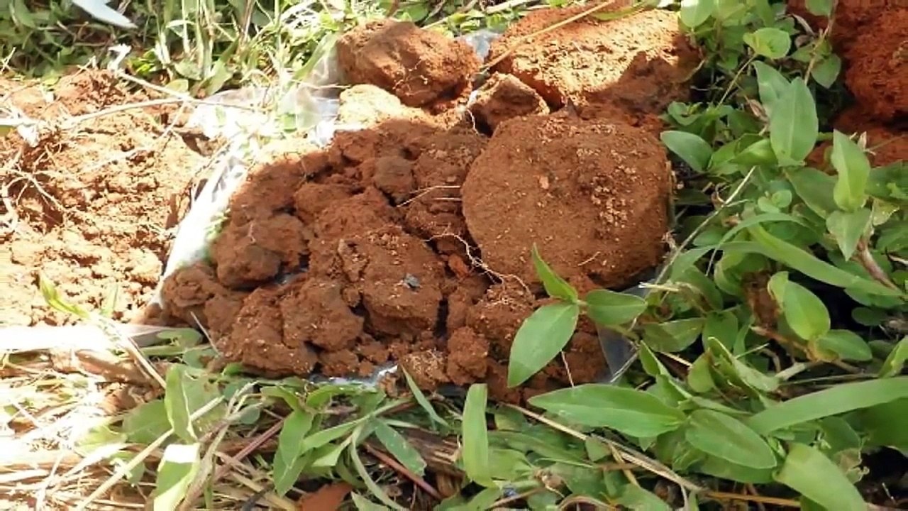 Estructura del suelo