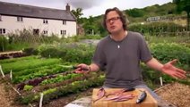River Cottage S14E2 - Fish