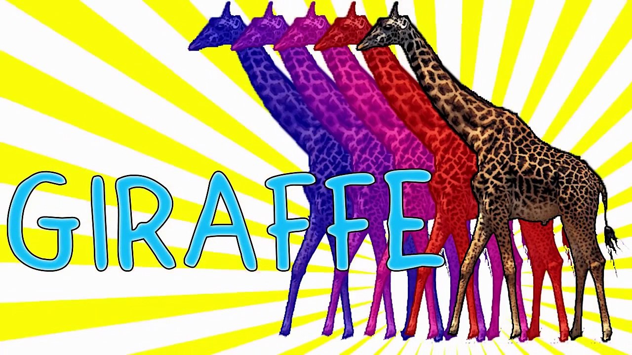 Finger Family Song Animals! Wild Animals Finger Family Song, Finger Family Zoo, Daddy Finger Animals