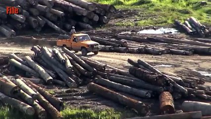 NGOs: Hypocrisy to hold hydropower congress in Sarawak