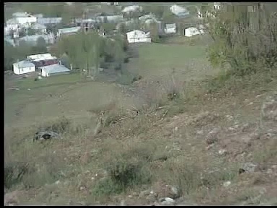 xalonun keklikleri tuzak,video,baglı keklik,çatı avı