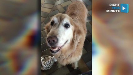 Lily FInds Out She's Cancer-Free