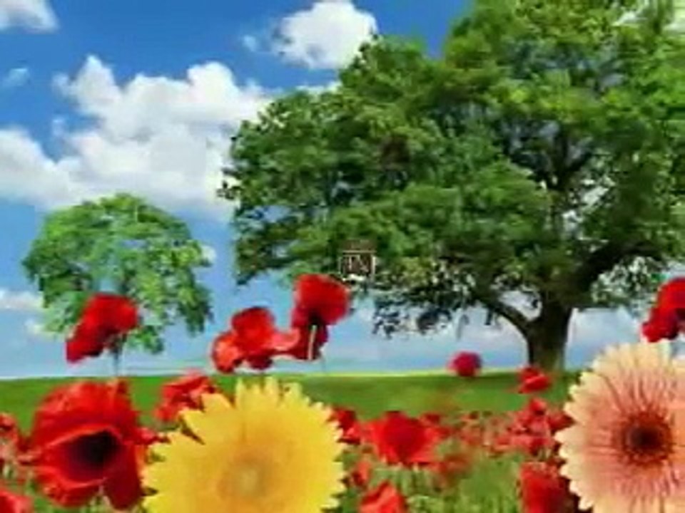 Τζίμης Πανούσης - Ποτ Πουρί (live)