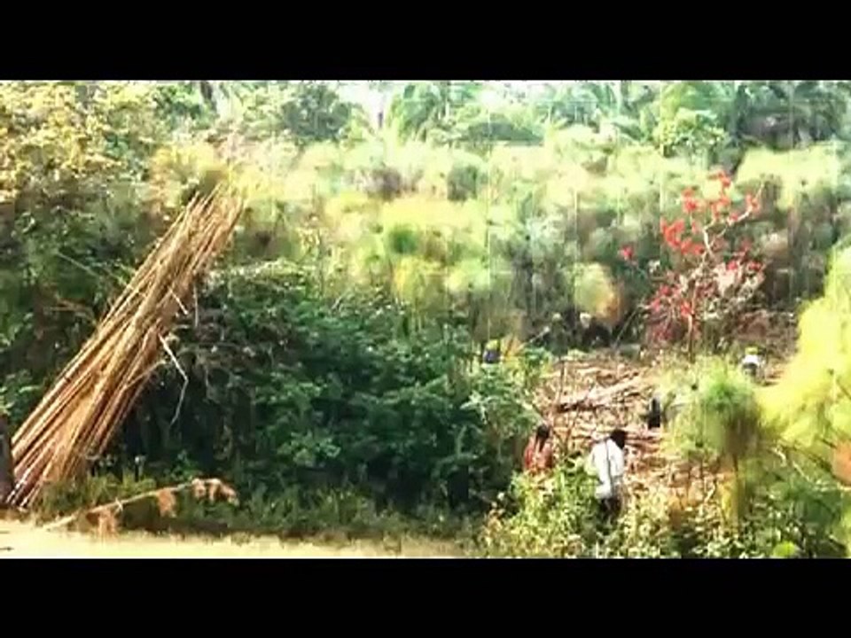 Papyrus and the Sudd Swamp