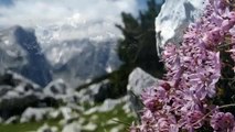 Alpy Julijskie i Dolomity - południowy Tyrol 2010.  Słowenia, Italia (mountain slideshow)
