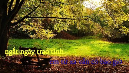 [Karaoke] Trời Còn Mưa Mãi - Đàm Vĩnh Hưng