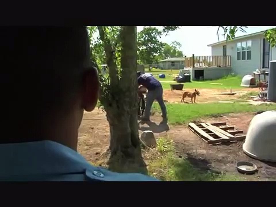 Dog Fighting Part Two.wmv