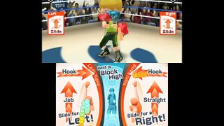 Dual Pen Sports video game Boxing - Nintendo 3DS