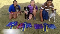 Our Awesome Agility Junior Handlers Fall '13