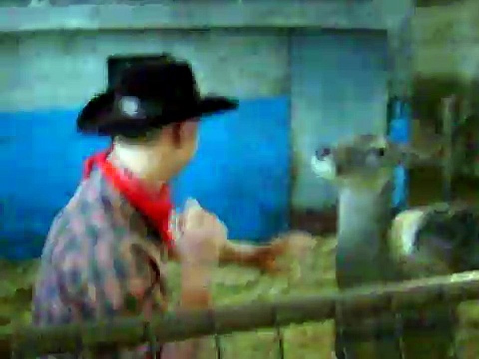 Homme vs Biche