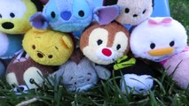 TSUM TSUM Disney (Parody) with Mickey Mouse, Donald Duck, Goofy and other Disney Tsum Tsum