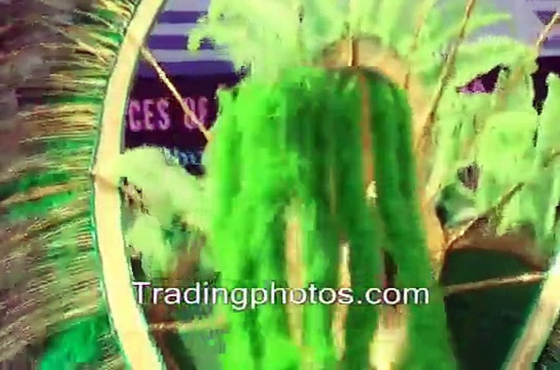 Junior carnival 2008, Part 5