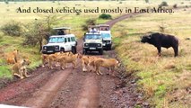 Safari Game Drive Vehicles in Africa | Luxury Tailor-Made Holidays with Mike Ross Africa Travel