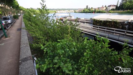 A vendre - Péniche - Neuville sur Saône