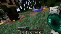 Minecraft Blocks & Items: Enderpearls and Eyes of Ender