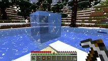 Minecraft Blocks and Items: Ice