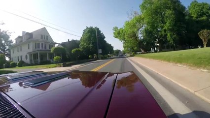 Mishimoto Quick Clip Stay Classy